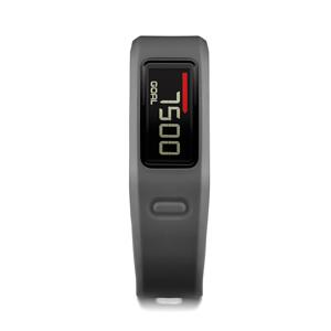 vivofit slate  