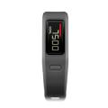 vivofit slate  